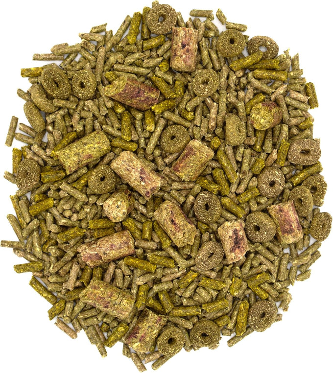 Timothy hay-based Oxbow Forage Wise Adult Rabbit Food, 4 lb bag, complete nutrition, made in USA