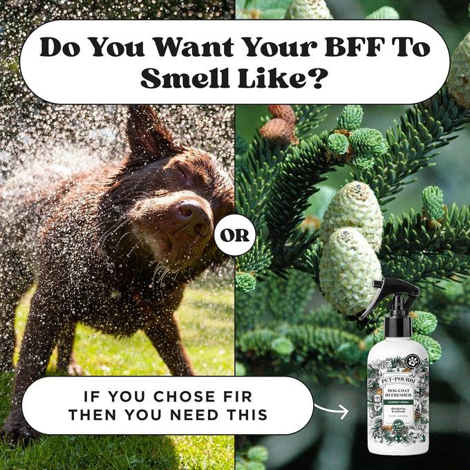 poo-pourri furrest fresh dog deodorizing spray, 8 fl oz, paraben & sulfate-free, fir, amber, & cedarwood scent