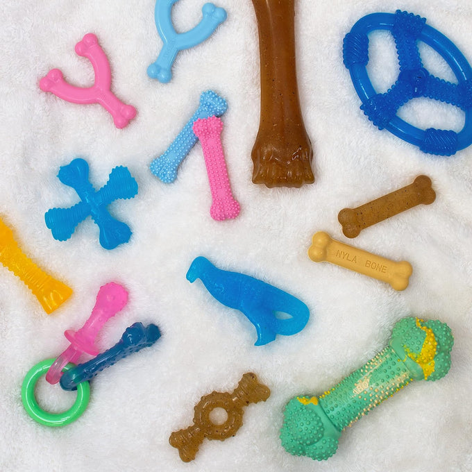 Nylabone chicken flavored teething ring bone toy for x-small puppies up to 15 lbs 1 count