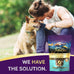 Zignature limited ingredient formula biscuits whitefish dog treats, 12 oz, crunchy texture, bone shape