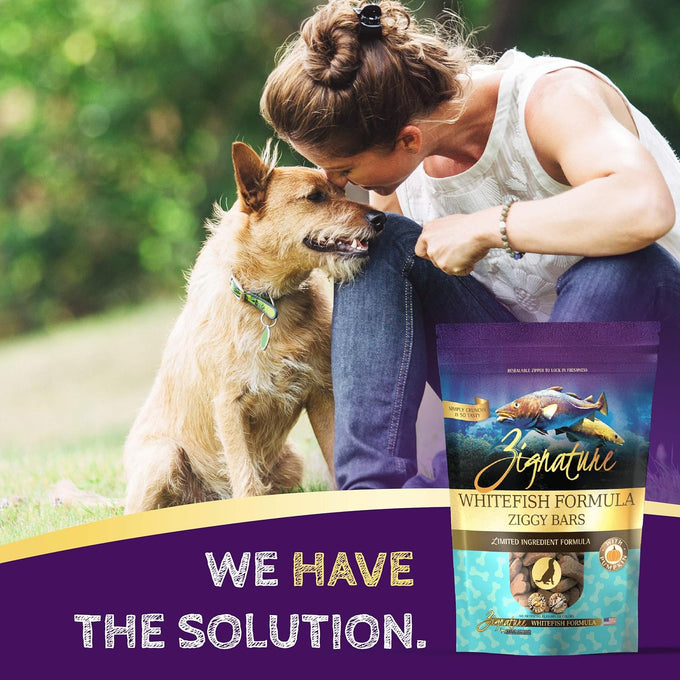 Zignature limited ingredient formula biscuits whitefish dog treats, 12 oz, crunchy texture, bone shape
