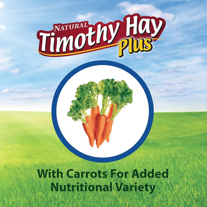 Kaytee timothy hay plus carrots for guinea pigs rabbits and small animals, 24 oz