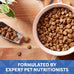 Nature's Recipe Grain Free Small Breed Adult Chicken Sweet Potato & Pumpkin Dry Dog Food 4 lb Bag