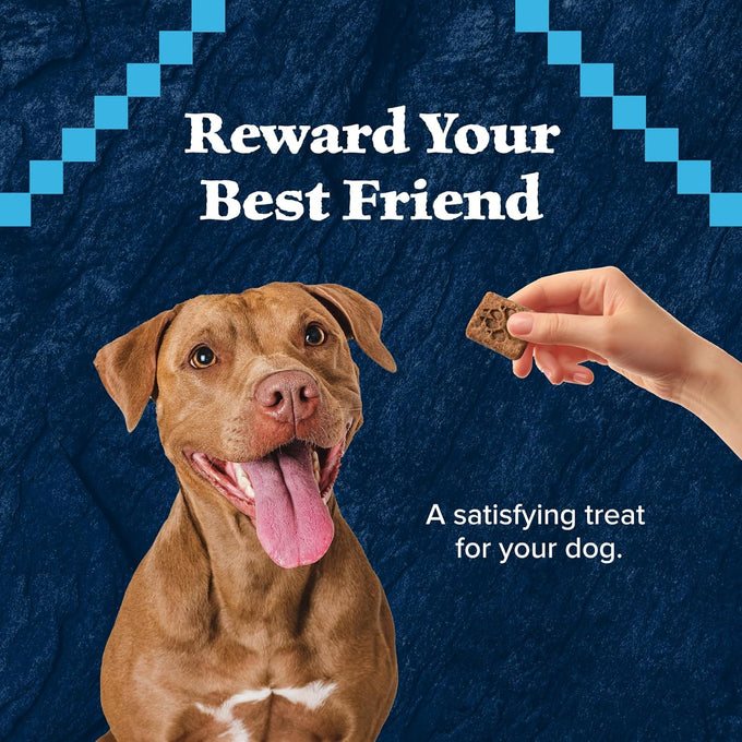 Blue Buffalo Wilderness Grain-Free High-Protein Dog Treats, Turkey Recipe, 36-oz Box
