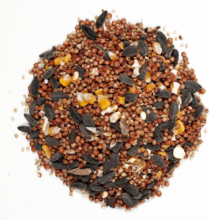 Wagner's 20-Pound Farmer's Delight Wild Bird Food with Cherry Flavor Mix for Backyard Birds