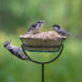 Audubon Park 12228 No-Waste Wild Bird Food Blend, 5-Pound, Gourmet Mix, Hull-Free, American Made