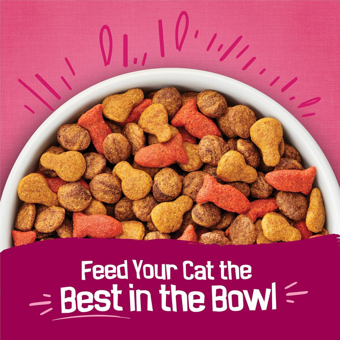 Friskies Gravy Swirlers dry cat food 22 lb bag with chicken salmon and gravy flavors