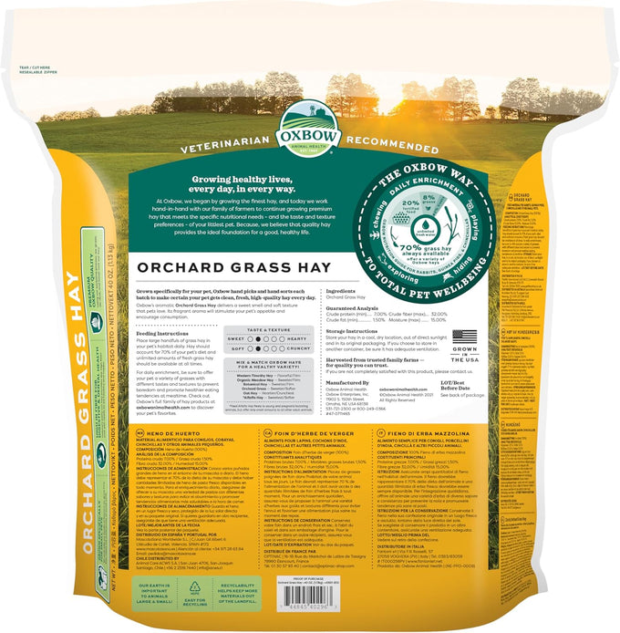 Oxbow orchard grass hay for small pets in 40 oz bag - all-natural long strand fiber hay for digestive health and enrichment