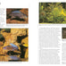 a-practical-guide-to-identifying-and-keeping-freshwater-and-marine-fishes-aquariums-hardcover-book