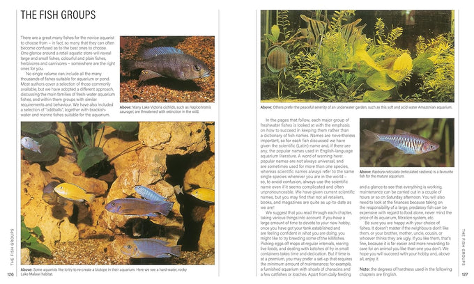 a-practical-guide-to-identifying-and-keeping-freshwater-and-marine-fishes-aquariums-hardcover-book