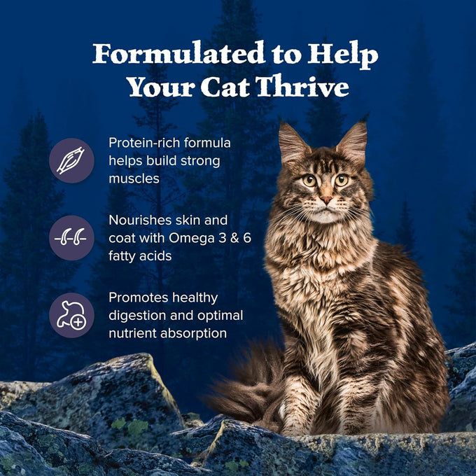 blue buffalo wilderness natural adult dry chicken cat food 12 lb bag high protein grain free diet