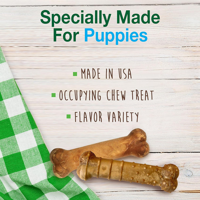 Nylabone Healthy Edibles Roast Beef, Apple & Bacon Flavor Puppy Chews X-Small 3 Count