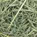 Oxbow Western Timothy Hay for Small Pets - High Fiber for Digestive Health and Dental Support - 40 oz Bag - All-Natural Grass Hay for Rabbits Guinea Pigs Chinchillas