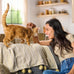 Meow Mix Adult Cat Hairball Control Dry Food, 6.3 lb Bag, Chicken, Turkey, Salmon, Ocean Fish