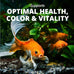 Tetra Goldfish Flakes, Nutritionally Balanced Diet for Aquarium Fish, Vitamin C Enriched, 2.2 lbs
