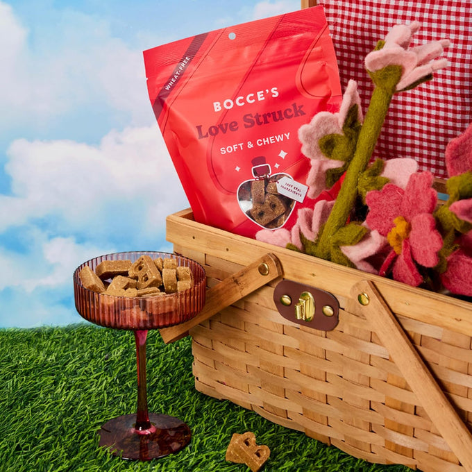Bocce's Bakery Love Struck Valentine's Dog Treats - Wheat-Free, Natural Soft & Chewy Cookies, Baked in The USA, 6 oz