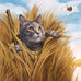 Fromm Four-Star Nutritionals Duck A La Veg Premium Dry Cat Food - Duck Recipe - 10 lb Bag