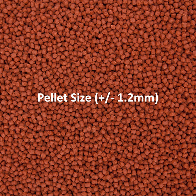 Ocean Nutrition Formula One Pellets, 3.5-Ounces (100 Grams) Jar, Small Pellet Size, Tropical Fish Food