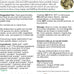 TOP's USDA Organic Hookbill Pellets for Large and Medium Parrots, Non-GMO, Peanut Soy & Corn Free, 10 lb