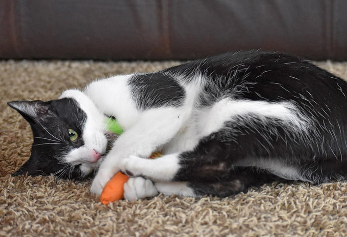 ourpets 100-percent north american catnip filled carrot cat toy 24k gold