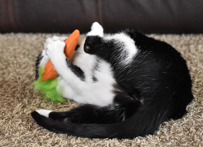 ourpets 100-percent north american catnip filled carrot cat toy 24k gold