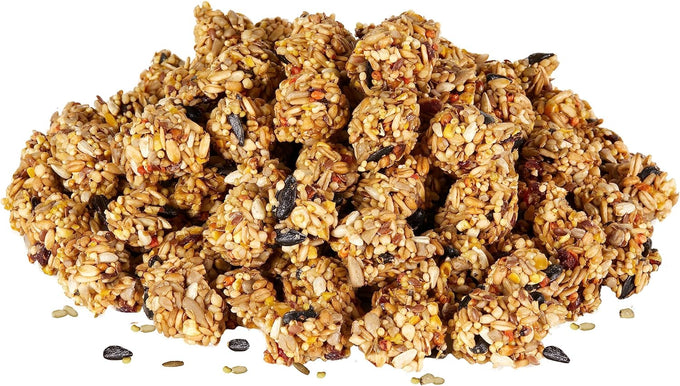Kaytee Granola Bites with Superfoods Cranberry Apple and Flax for Small Pets 4.5 oz