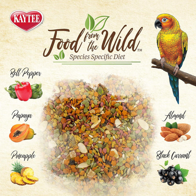 Kaytee Food from The Wild Natural Pet Conure Bird Food, 2.5 Pound Premium Foraging Mix Without Fillers