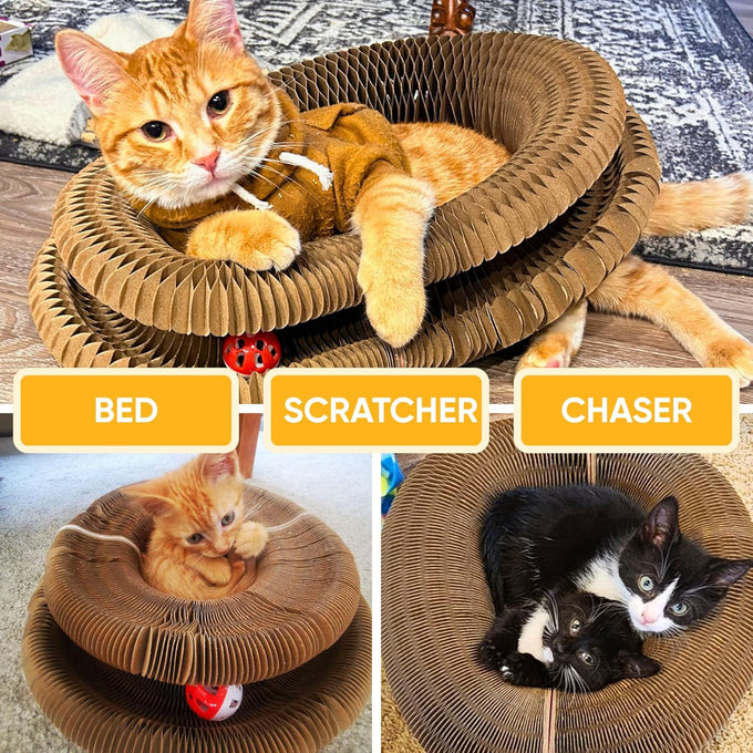 Kitty Kurlz 3-in-1 Cat Toy & Scratcher, Collapsible Ball Track with Bell, Reversible Cardboard Lounge for Indoor Cats