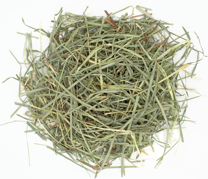 Oxbow orchard grass hay for small pets in 40 oz bag - all-natural long strand fiber hay for digestive health and enrichment