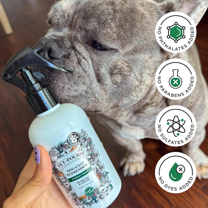 poo-pourri furrest fresh dog deodorizing spray, 8 fl oz, paraben & sulfate-free, fir, amber, & cedarwood scent