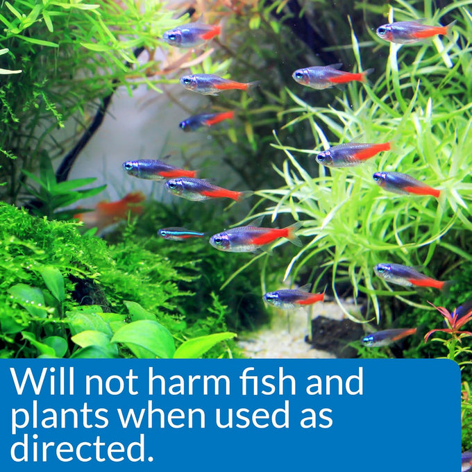 API AlgaeFIX Algae Control, 16-Ounce Bottle, Fast-Acting and Safe for Aquariums