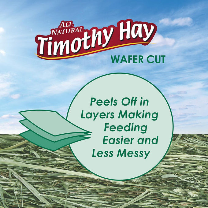Kaytee wafer cut timothy hay for pet guinea pigs, rabbits, and other small animals, 60 ounce all natural
