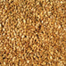 Coles HM20 Hot Meats Bird Seed 20-Pound Attracts Sunflower Loving Birds