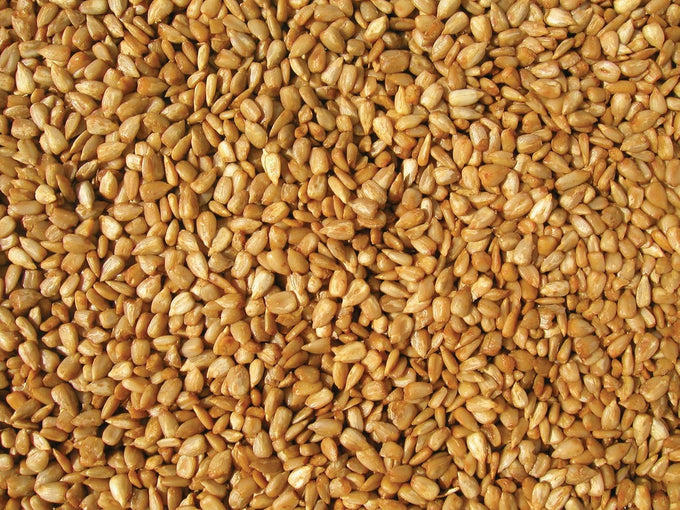 Coles HM20 Hot Meats Bird Seed 20-Pound Attracts Sunflower Loving Birds