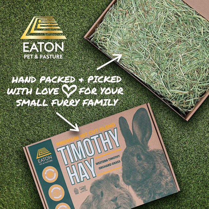 Eaton premium 1st cut western timothy hay orchard blend small animal food 6lb box sustainable eco-friendly
