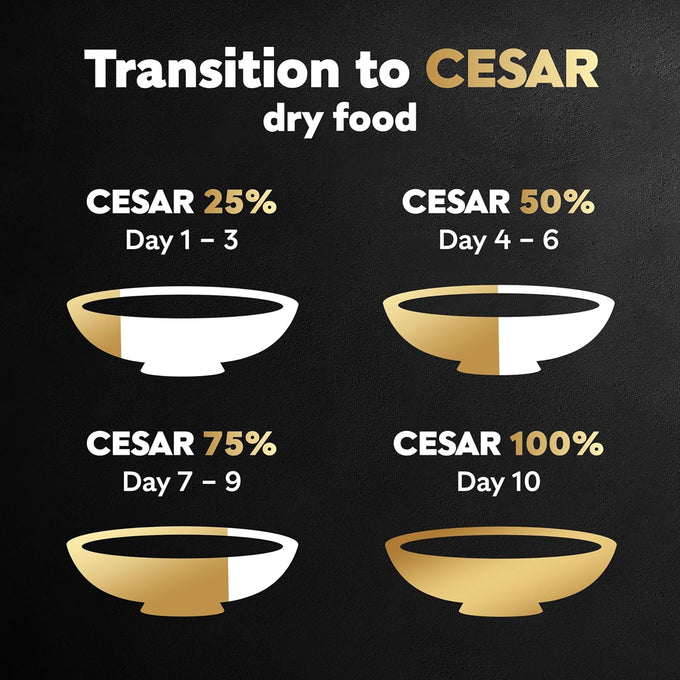Cesar Small Breed Dry Dog Food, Filet Mignon Flavor, 12 lb