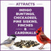 Pennington Pride songbird wild bird seed 10-lb bag advanced nutrition formula bird food
