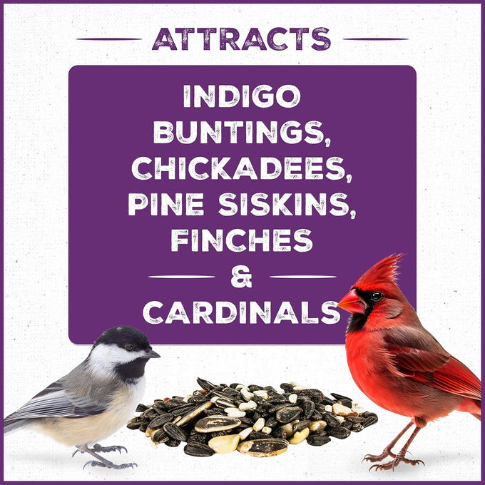 Pennington Pride songbird wild bird seed 10-lb bag advanced nutrition formula bird food