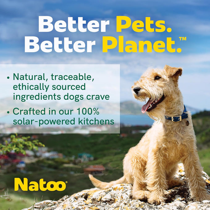 Nattoo chicken sweet potato broccoli dog treat topper for picky eaters and puppies 3 oz case of 20
