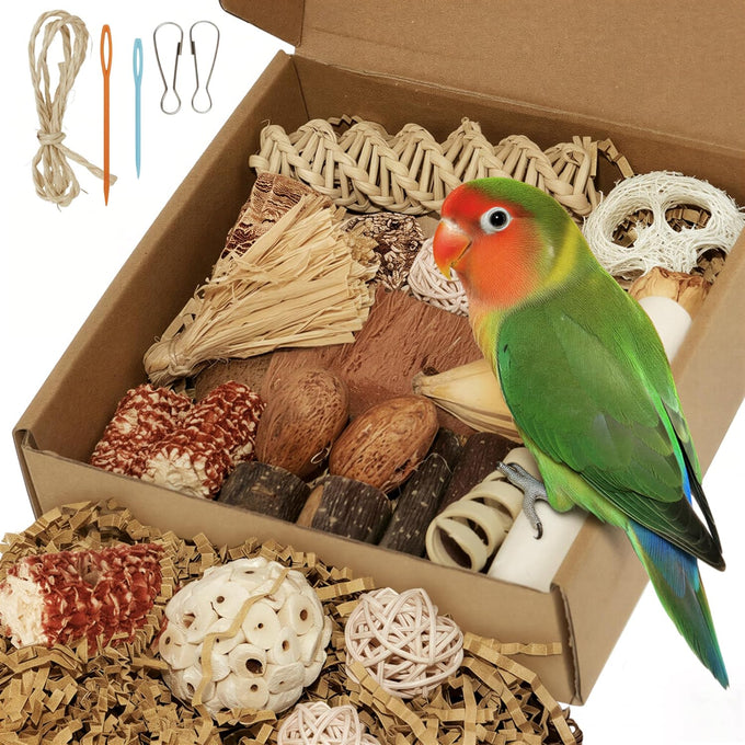 Bird Toys Parrot Natural Foraging Box Medium for Parakeets, Cockatiels, Conures, Small to Medium Birds Cage Accessories