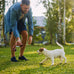 Nutrish Bright Puppy Premium Dry Dog Food, Chicken & Brown Rice