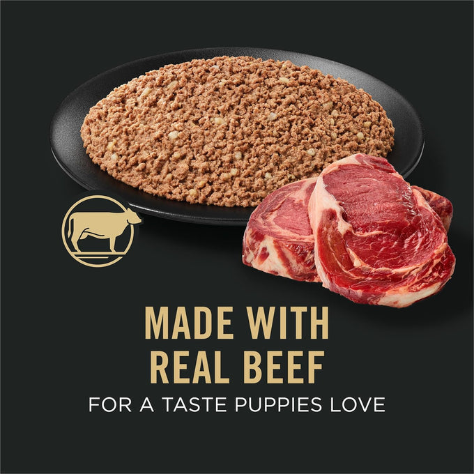Purina Pro Plan Sport Puppy Food, Beef & Rice, 13oz Cans (Pack of 12)