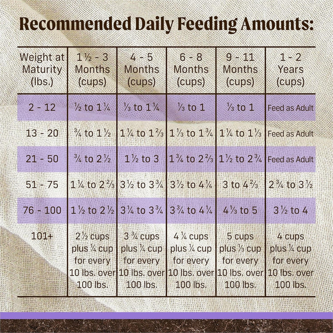 Merrick Premium Grain-Free Dry Puppy Food, Chicken & Sweet Potato