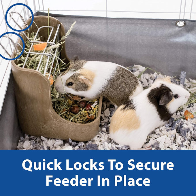 kaytee hay feeder for rabbits guinea pigs chinchillas with quick locks