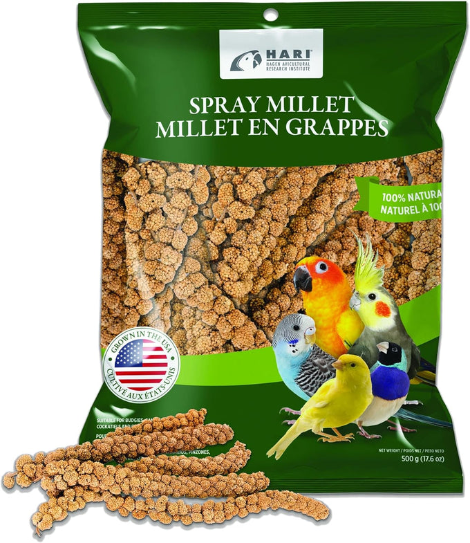 Living World Millet Spray for Birds 3.5 Oz - Premium Treat for Pet Birds and Small Birds