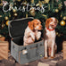 grey dog travel bag for dogs and cats with multi-function pockets and airline compliant design