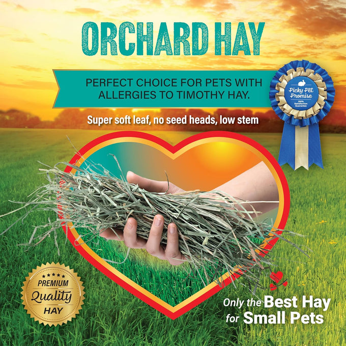 Small Pet Select premium US-grown orchard grass hay for rabbits, guinea pigs, and chinchillas, 10 LB bag