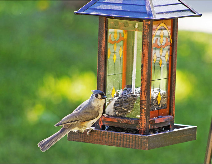 Wagner's 52023 black oil sunflower seed bird food, 5-pound USA-made bag, attracts small birds