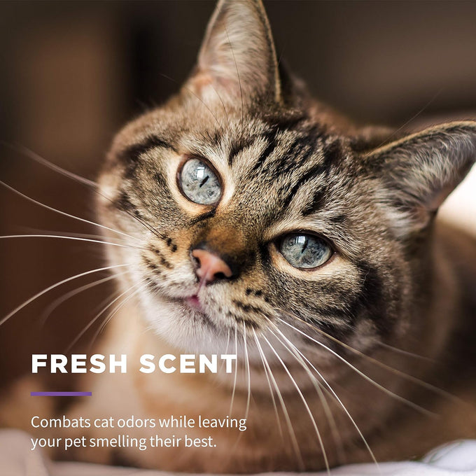 Wet Ones for Cats Freshening Wipes, multi-purpose cat grooming wipes with aloe vera, gentle cleaning, 50 count