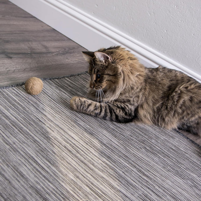 SmartyKat Catnip Kiss Compressed Cat Toy Ball for Mess-Free Play, Concentrated Catnip Power for Cats & Kittens, One Size
